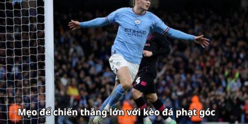 Tips chơi cược hiệu quả dành cho newbie