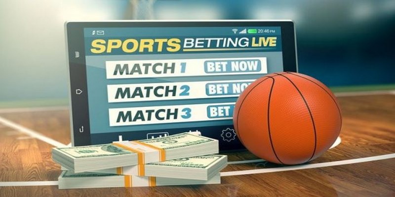 Cá cược bóng rổ cung cấp với tỷ lệ odds cạnh tranh, giá trị cao